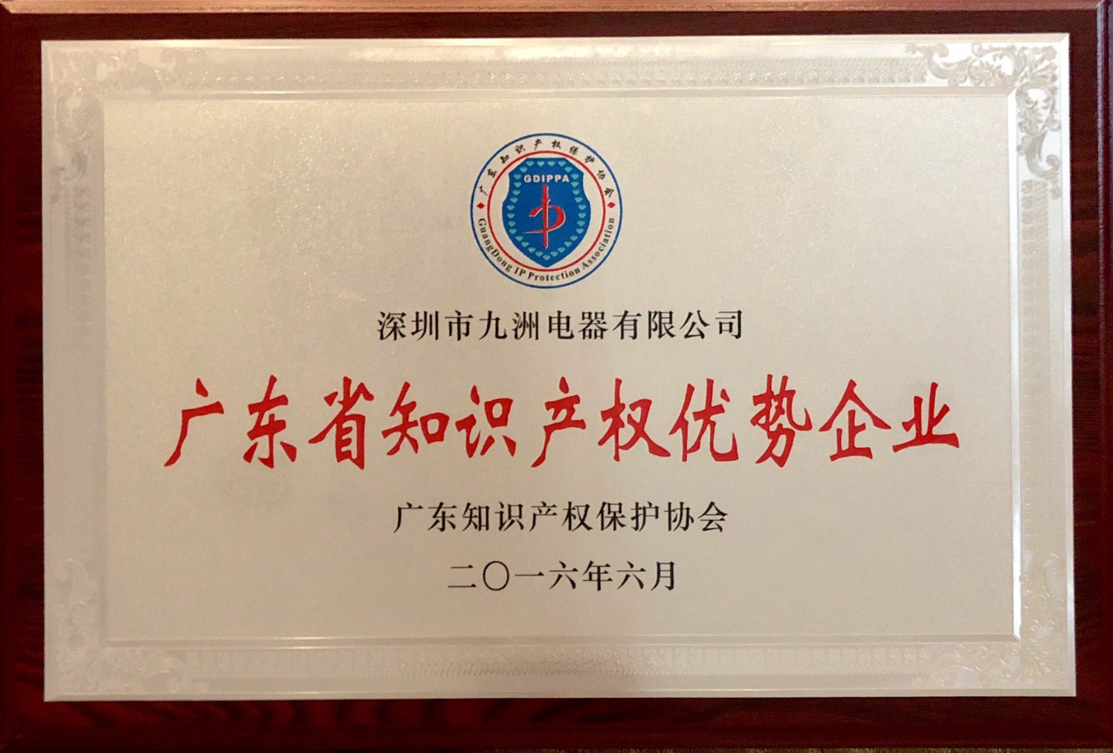 11.2016年廣東省知識產(chǎn)權(quán)優(yōu)勢企業(yè).jpg